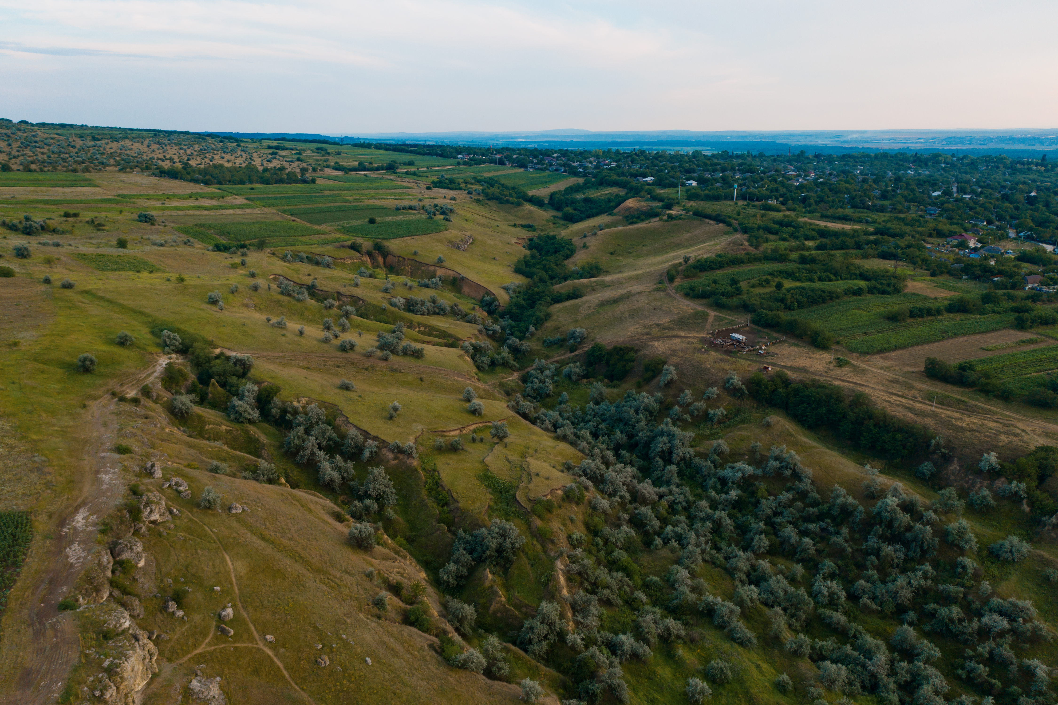 Colorado