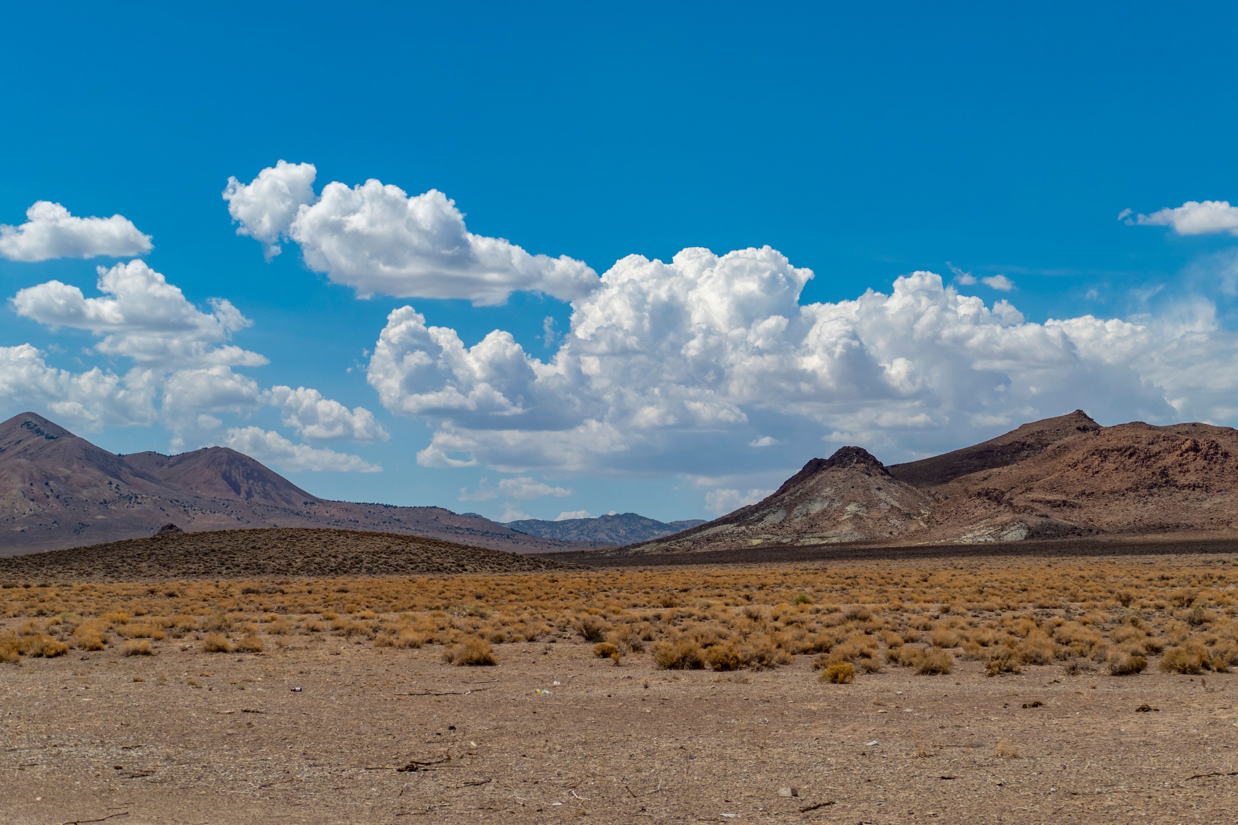 Nevada