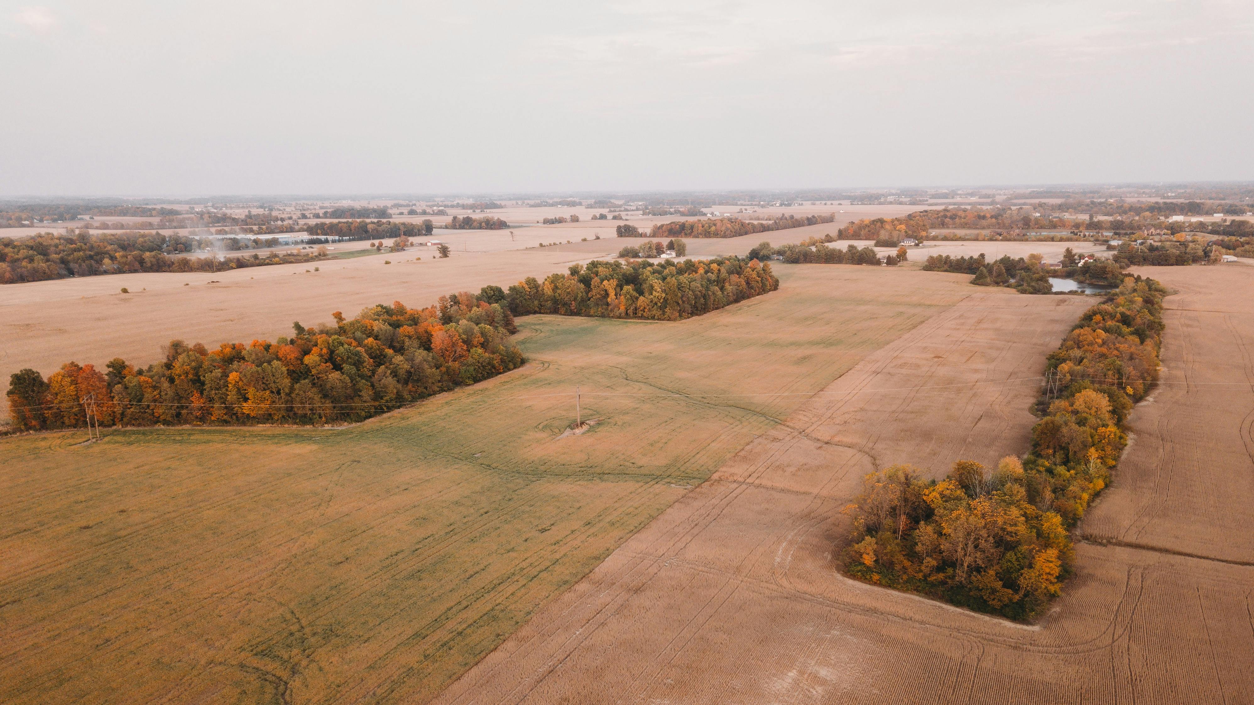 Ohio